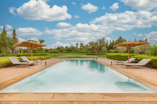 A beautiful view of a swimming pool and sun loungers in the garden with tropical trees.