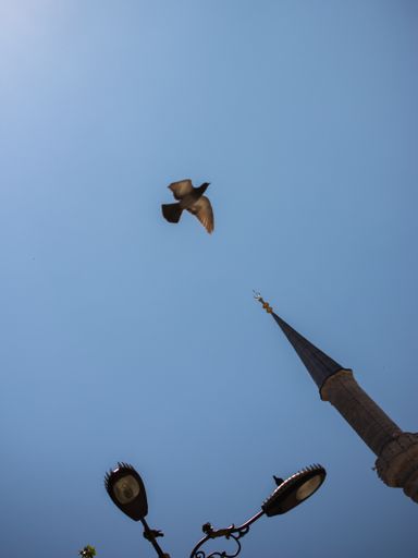 A vertical shot of the pigeon flying on top of the tower on a clear blue sky