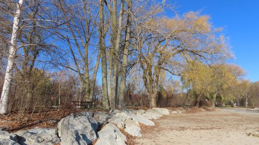 A sunny park in the autumn seen through rocks