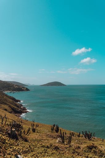 A vertical shot of a calm azure sea on a sunny day