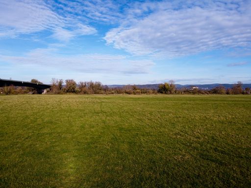 A landscape of a field covered in the grass under a blue cloudy sky and sunlight in the countryside