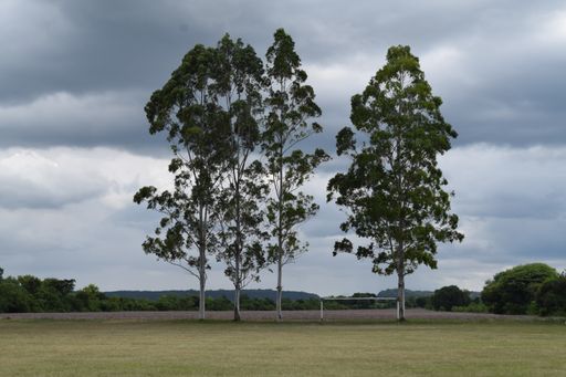 A rainy cloudscape over an abandoned rural football field with old football goal surrounded by trees