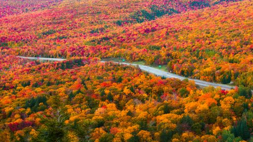A stunning landscape of the majestic Artist Bluff Trail in autumn, Franconia, New Hampshire