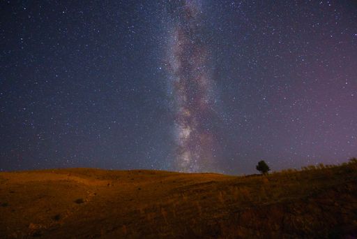 The dark night sky with many stars above a field
