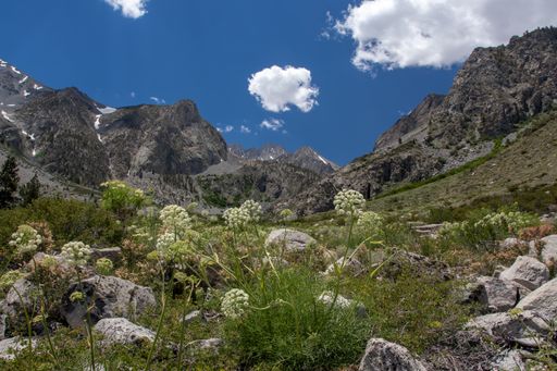 A high angle shot of a natural area near the Palisades glacier at Big Pine Lakes, CA