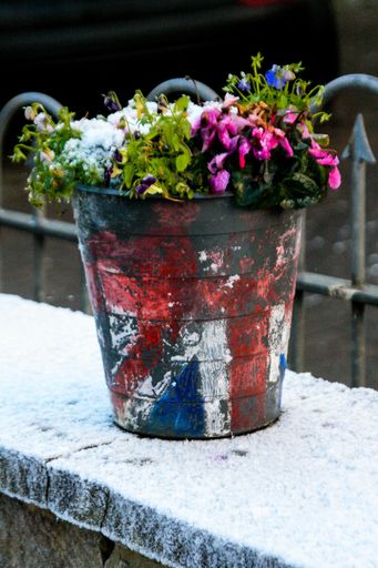 English plant pot in the winter