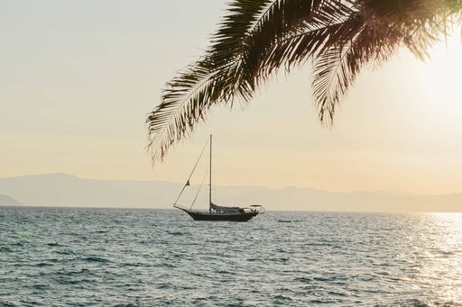 A sunset view of a sailboat in the blue waves of the sea with palm branches hanging over it
