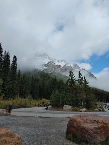 A vertical shot of a road heading to the trees and snowy mountains under a cloudy sky.