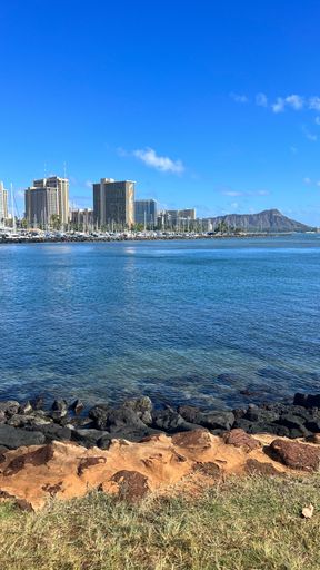 A vertical shot of a shore with modern buildings in the background