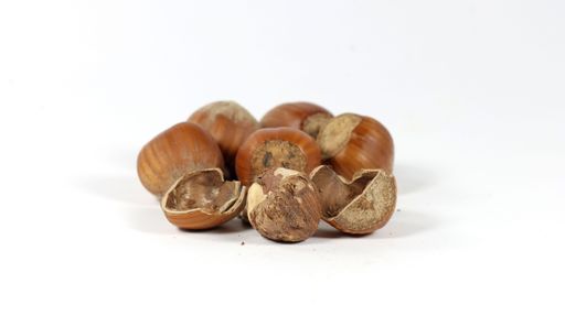 A closeup shot of hazelnuts on a white background