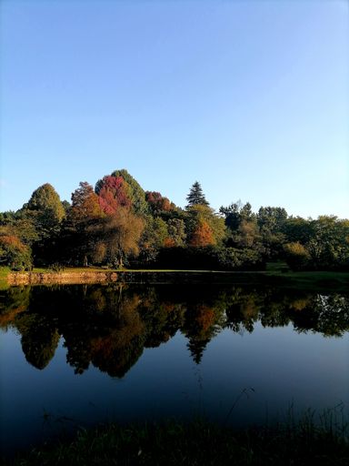 A vertical shot of an autumn forest at the shore