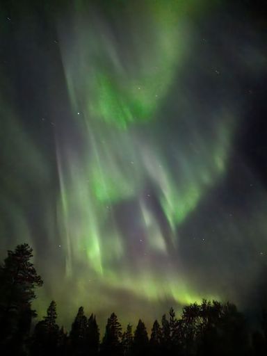 A vertical shot of the mesmerizing Northern lights in the night sky over a forest