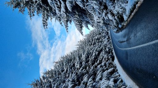 A vertical shot of a curvy highway road through a white snowy forest