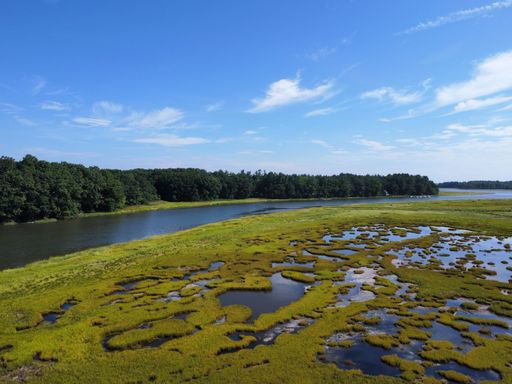 An aerial view of a river surrounded by greenery
