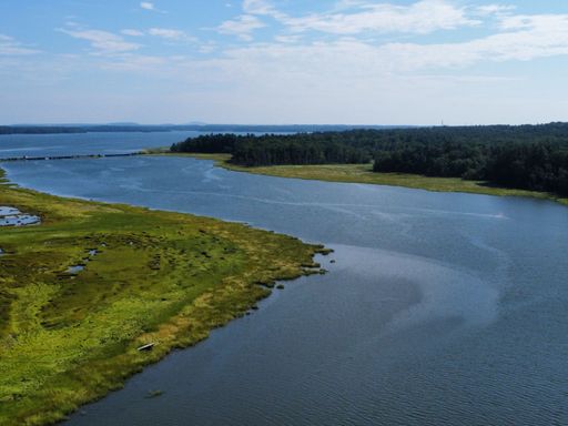 An aerial shot of a lake surrounded by trees under a blue sky