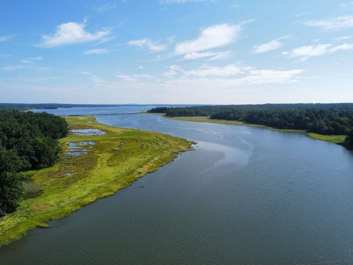 An aerial view of a river surrounded by greenery
