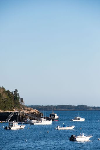 A vertical shot of boats around the Bar Harbor in Maine, USA