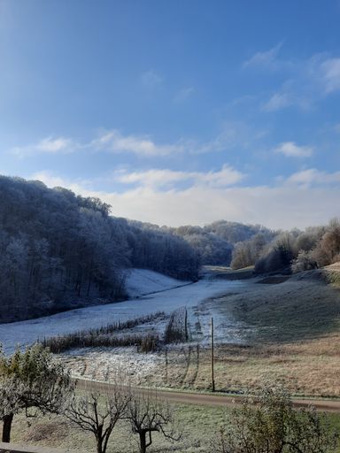 A vertical shot of a countryside road surrounded by snowy trees and a field on a winter day
