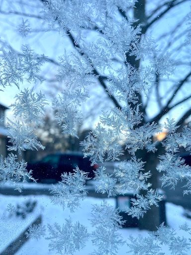 A vertical shot of beautiful snowflakes on the window with the backyard in the background