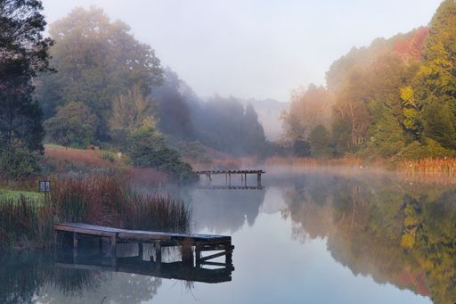 A beautiful shot of a lake surrounded by trees with a mist forming over it