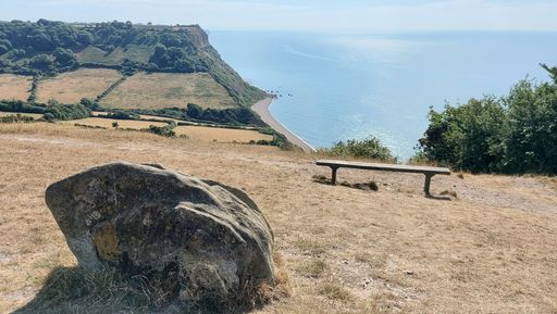 A closeup of a rock and a bench on a grassy hill overlooking the coast