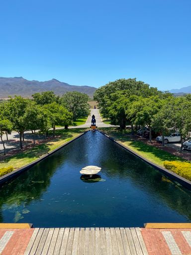 View from the tasting room at Graham Beck Winery, Robertson, South Africa