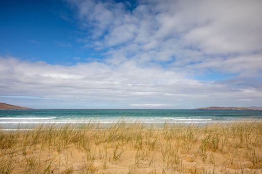 A serene image of an idyllic beach scene, featuring lush green grass and tranquil shallow water covering the golden sand