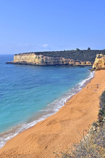 A vertical shot of a beautiful sunny beach with tall cliffs