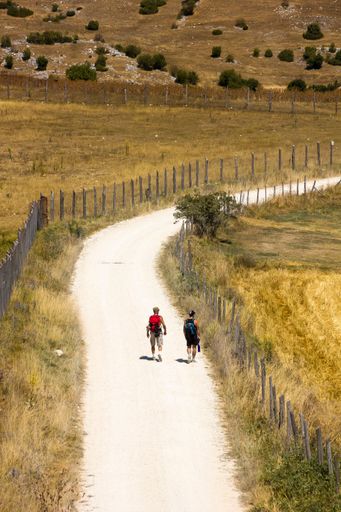 A vertical shot of two male hikers walking on a dirt road in the middle of a farm field