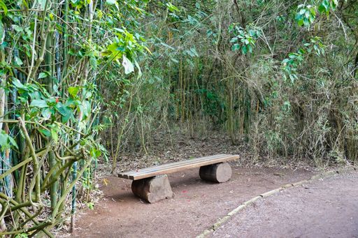 A wooden bench made of tree trunks put on the side of the road