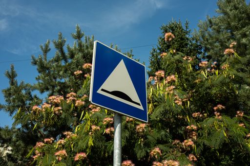 A speed pump sign with trees behind under blue sky