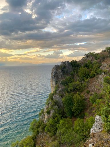 A vertical shot of a cliff covered by green plants overlooking a wavy sea under a cloudy sky