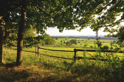 A mesmerizing shot of green fields in summer, with a wooden fence separating it from the forest in Unterallgau, Germany
