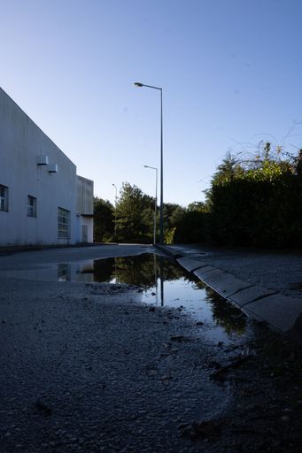 A vertical shot of a puddle in front of a building at sunset