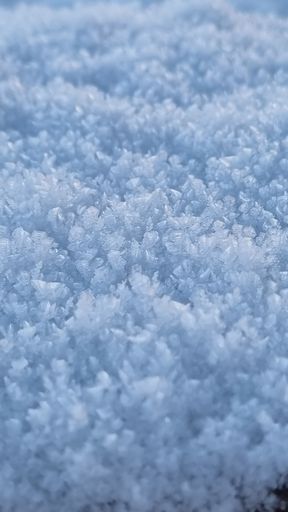 A vertical shot of icy snow covers plants field in the winter