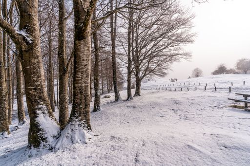 A bright shot of a picnic area with benches covered by snow on the peak of Mount Aizkorri in Gipuzkoa