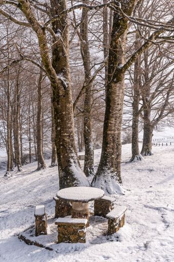 A vertical shot of a picnic area with benches covered by snow on the peak of Mount Aizkorri, Gipuzkoa