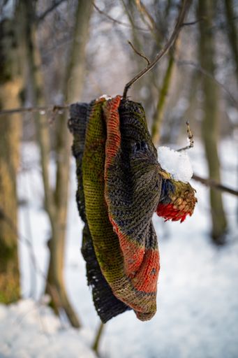A vertical shot of an old cloth hanging on a tree branch