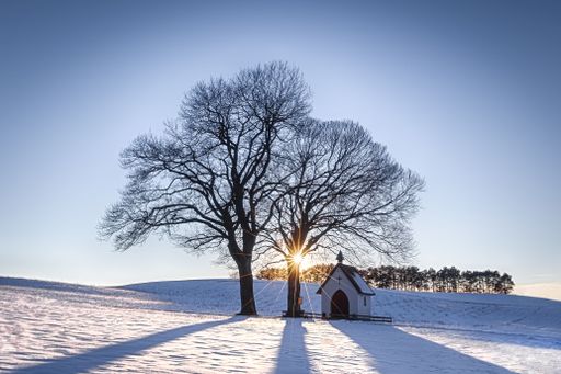 A field covered with snow with trees and a small building in the background