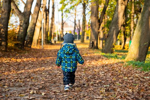 A back view of a kid in the park covered with fallen leaves