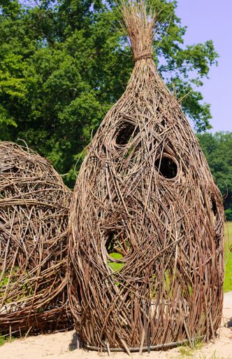 A vertical shot of huge bird nests from dried branches in a field