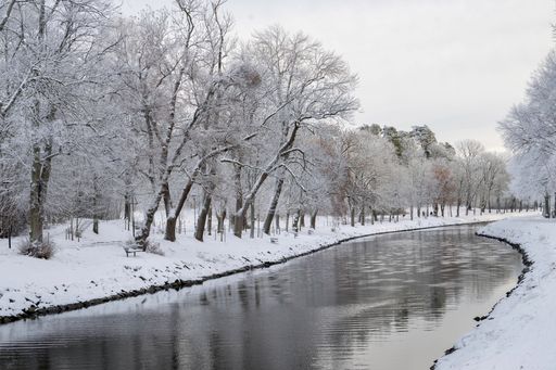 A tranquil winter scene featuring a river surrounded by snow-covered trees