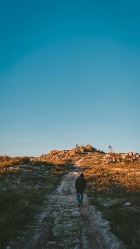 A vertical shot of a lonely person with a hoodie walking along a pathway