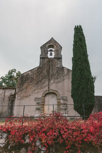 A vertical shot of a building and a large tree next to it under a cloudy sky