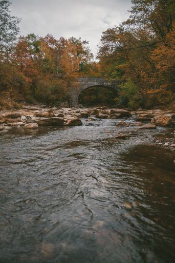 A vertical shot of a river with a lot of rocks surrounded by autumn trees near a concrete bridge