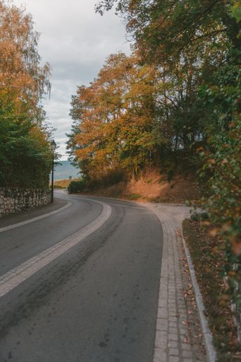 A vertical shot of a narrow road surrounded by beautiful trees with colorful leaves