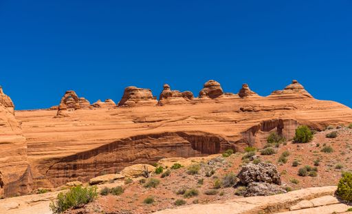 A shot of Arches National Park, highlighted by the rocky terrain and greenery
