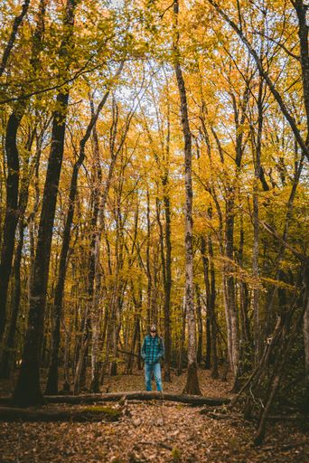 A vertical shot of a man looking at the trees in a forest during daytime