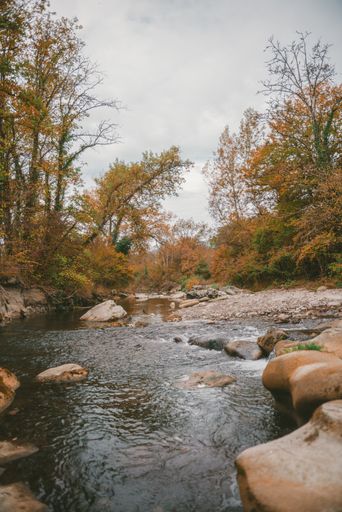 A vertical shot of a lot of rocks in a river surrounded by beautiful trees under the storm clouds