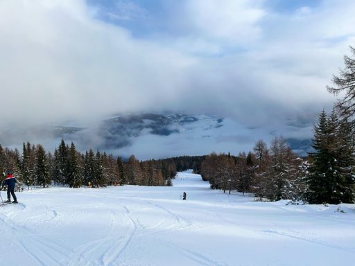 A scenic view of a ski slope covered in freshly fallen snow surrounded by trees.